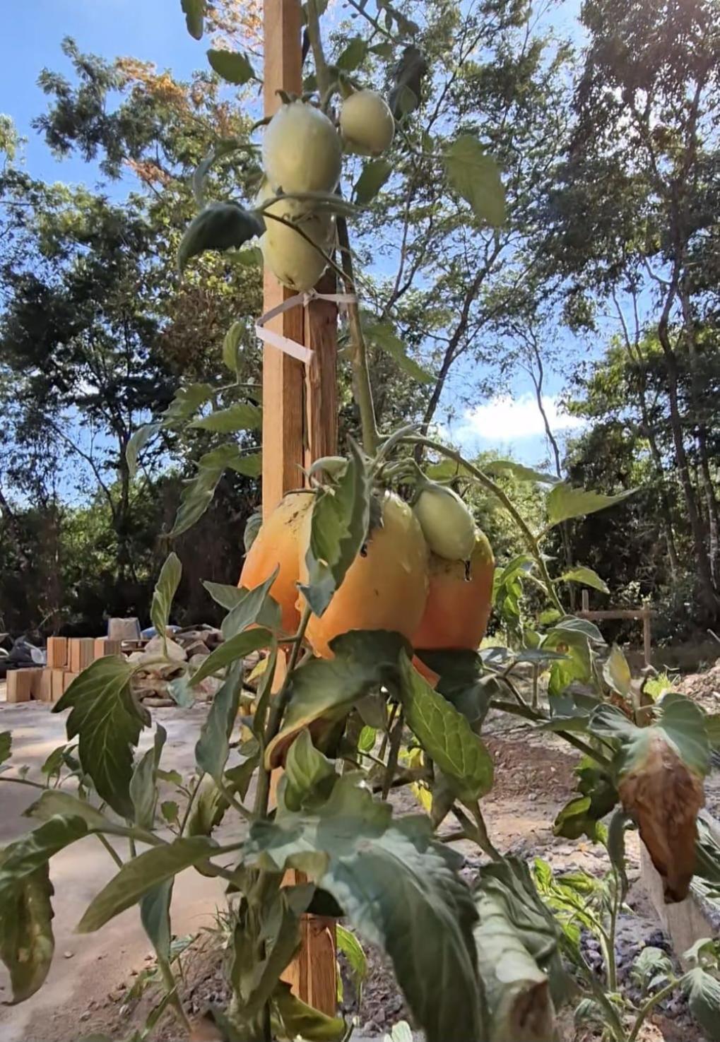 Pousada Verde Villas Brumadinho Exteriör bild