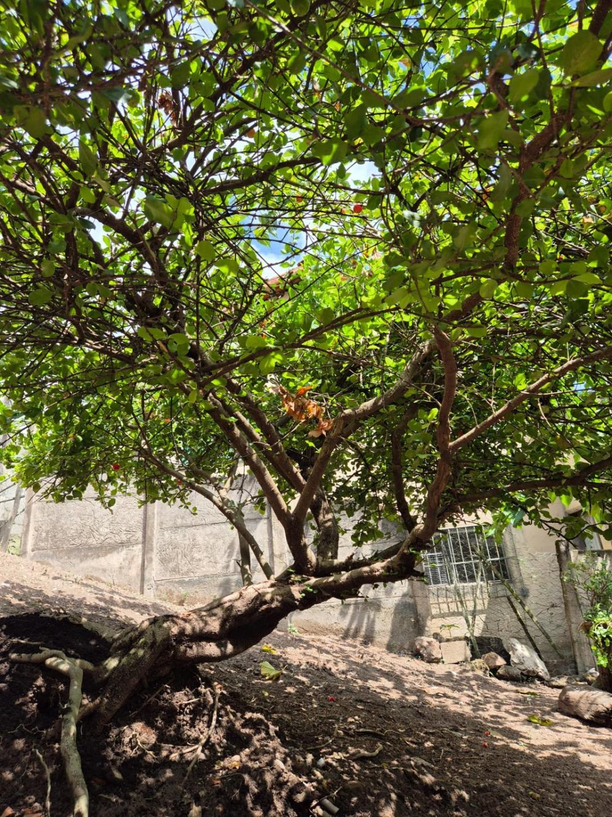 Pousada Verde Villas Brumadinho Exteriör bild